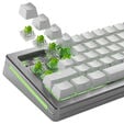 Glorious Raptor HE Standard Switch, Hall-Effekt, clicky, MX-Stem, 55g - lubed, 36 St&uuml;ck image number null