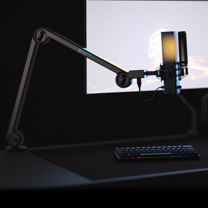 Endgame Gear MICARM + XSTRM USB Microphone - black image number 1