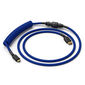 Glorious Coiled Cable Cobalt, USB-C auf USB-A Spiralkabel - 1,37m, blau
