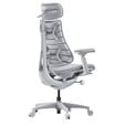 LiberNovo Omni Ergonomischer Stuhl, aktive R&uuml;ckenlehne, Massage - grau image number null