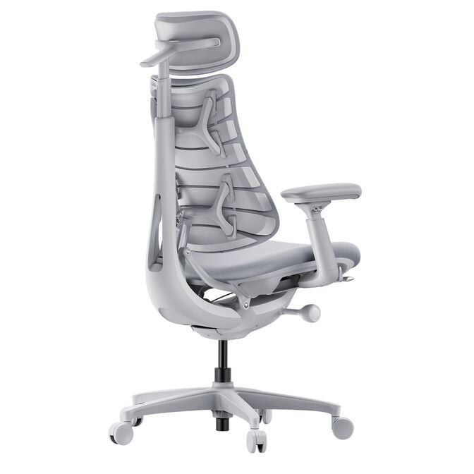 LiberNovo Omni Ergonomischer Stuhl, aktive R&uuml;ckenlehne, Massage - grau image number 4