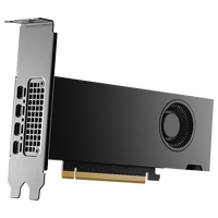 NVIDIA RTX 2000 Ada Generation Grafikkarte, 16384 MB GDDR6