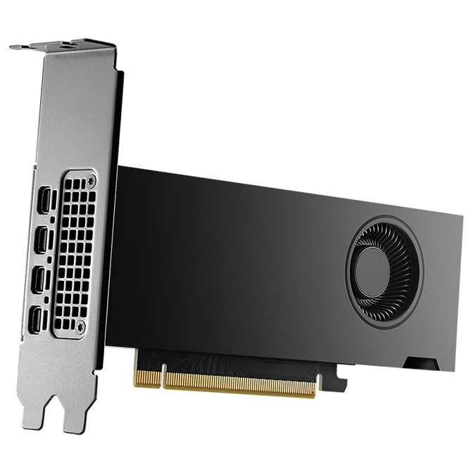 NVIDIA RTX 2000 Ada Generation graphics card, 16384 MB GDDR6 image number 0