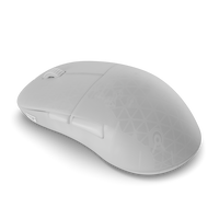 Endgame Gear XM2w 4k Wireless Gaming Mouse, Wireless – White Frost