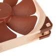 Noctua NF-A14-PWM L&uuml;fter - 140mm image number null