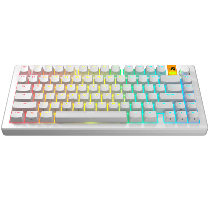 Glorious GPBT Backlit Keycaps, ANSI Layout (US), PBT, Dye-Sub - White image number 1