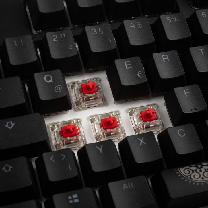 Ducky Shine 7 PBT Gaming Keyboard, MX-Red, RGB LED - blackout image number 6