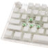 Ducky One 3 Aura White Gaming Tastatur, RGB LED - Gateron Baby Kangaroo (US) image number null