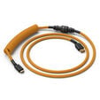 Glorious Coiled Cable Glorious Gold, USB-C to USB-A - 1,37m, gold image number null
