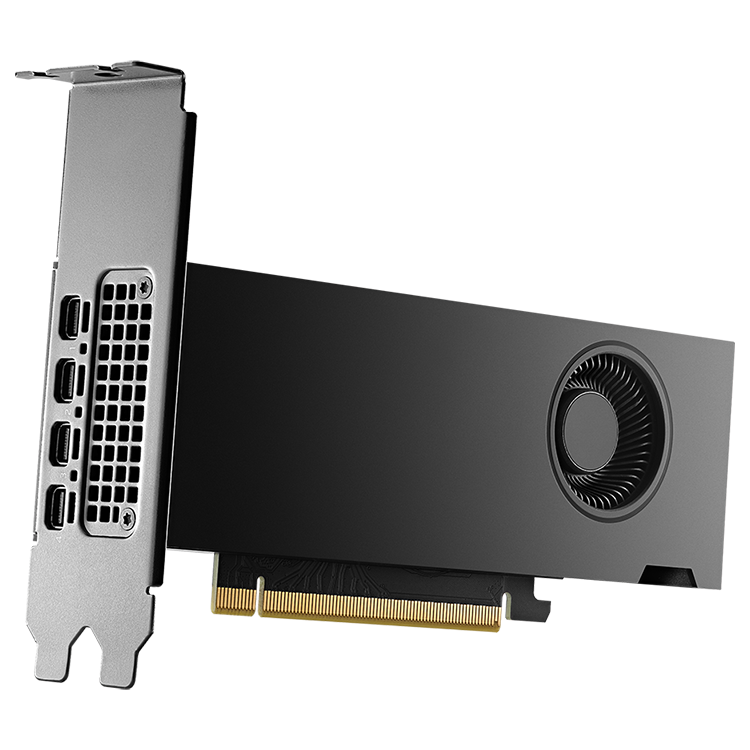 NVIDIA RTX 2000 Ada Generation graphics card, 16384 MB GDDR6